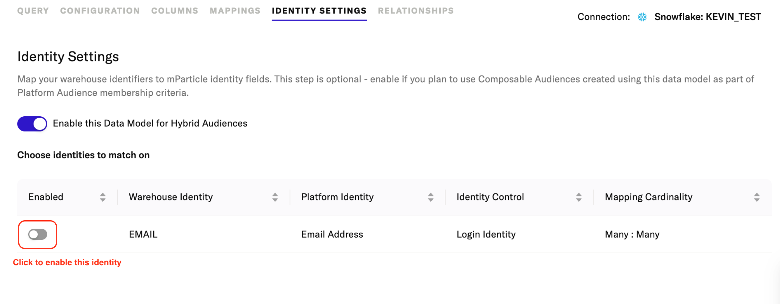 screenshot showing the enable for hybrid audiences toggle