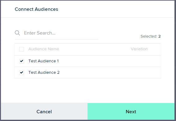 TikTok Connect Audiences